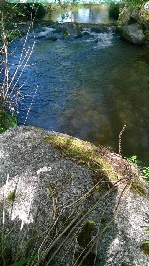 Les Gites De L Etang :Studio A 20 Mn De Gerardmer La Chapelle  Kültér fotó